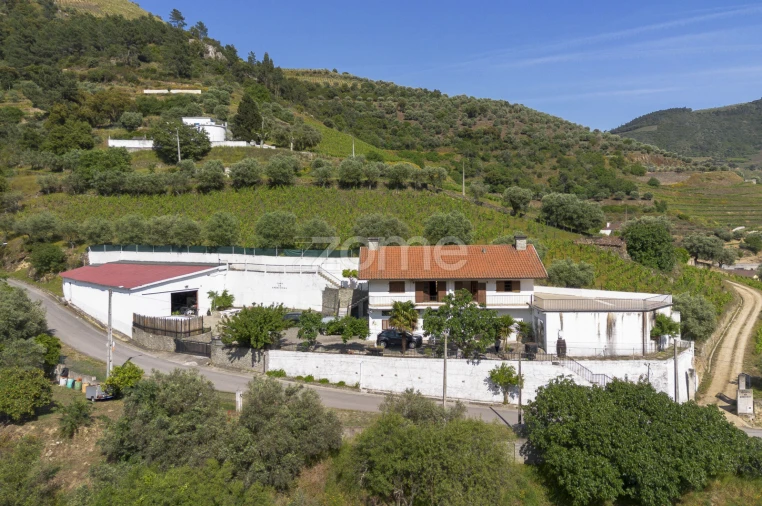 Moradia T3 para Venda em Galafura e Covelinhas Foto 1