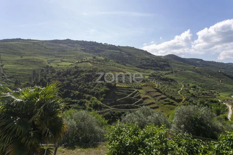 Moradia T3 para Venda em Galafura e Covelinhas Foto 46