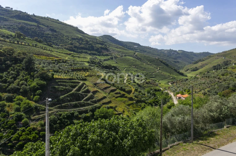 Moradia T3 para Venda em Galafura e Covelinhas Foto 52