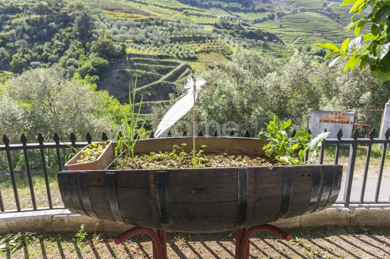 Moradia T3 para Venda em Galafura e Covelinhas Foto 58