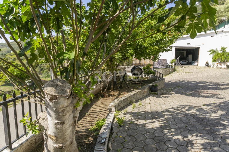 Moradia T3 para Venda em Galafura e Covelinhas Foto 63