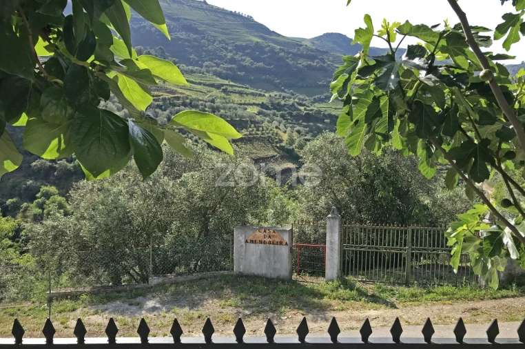 Moradia T3 para Venda em Galafura e Covelinhas Foto 64