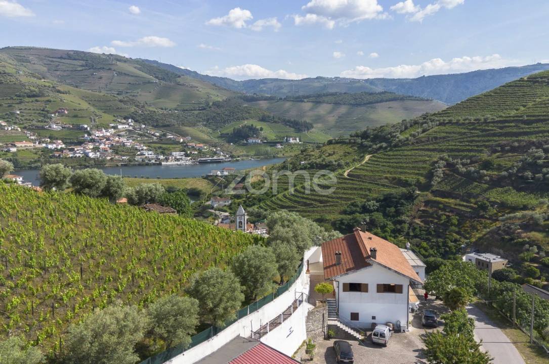 Moradia T3 para Venda em Galafura e Covelinhas Foto 4