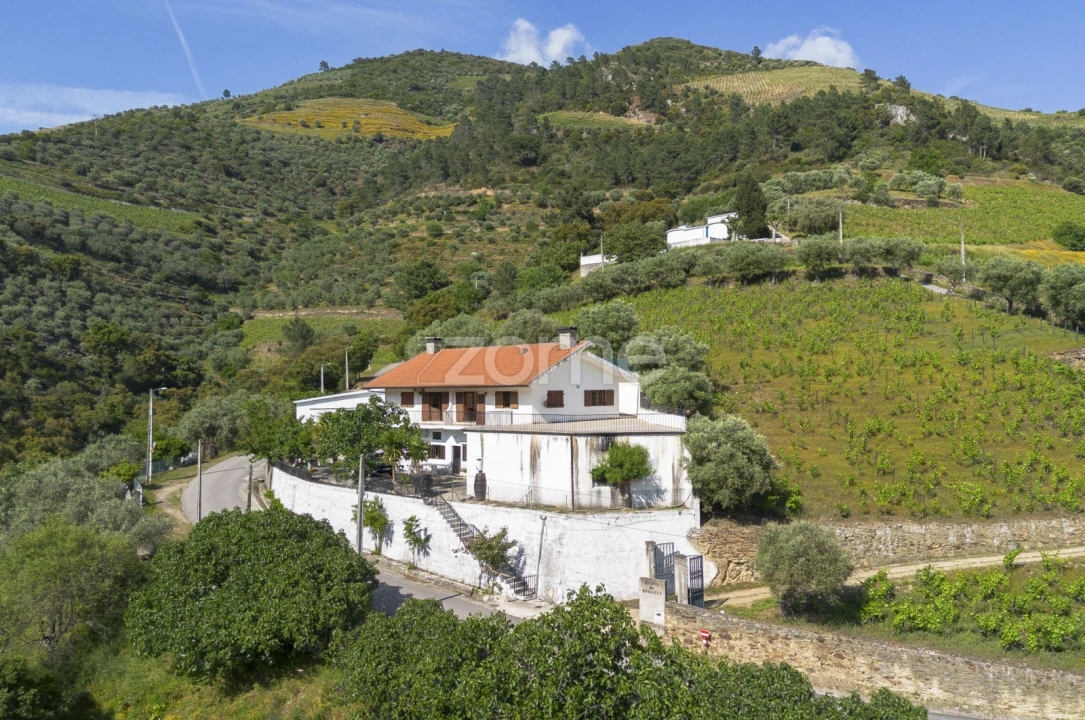 Moradia T3 para Venda em Galafura e Covelinhas Foto 6