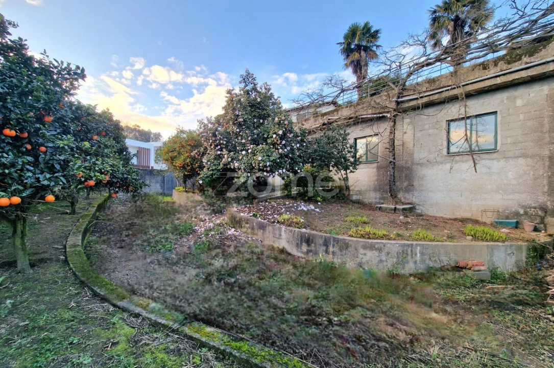 Terreno para Venda em Ferreiros e Gondizalves Foto 12