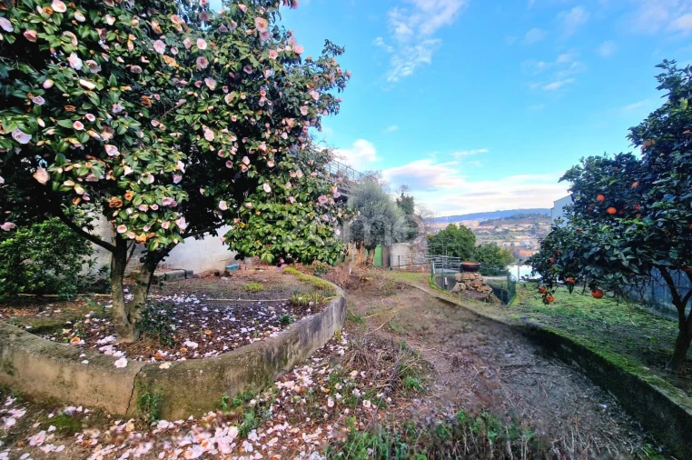 Terreno para Venda em Ferreiros e Gondizalves Foto 13