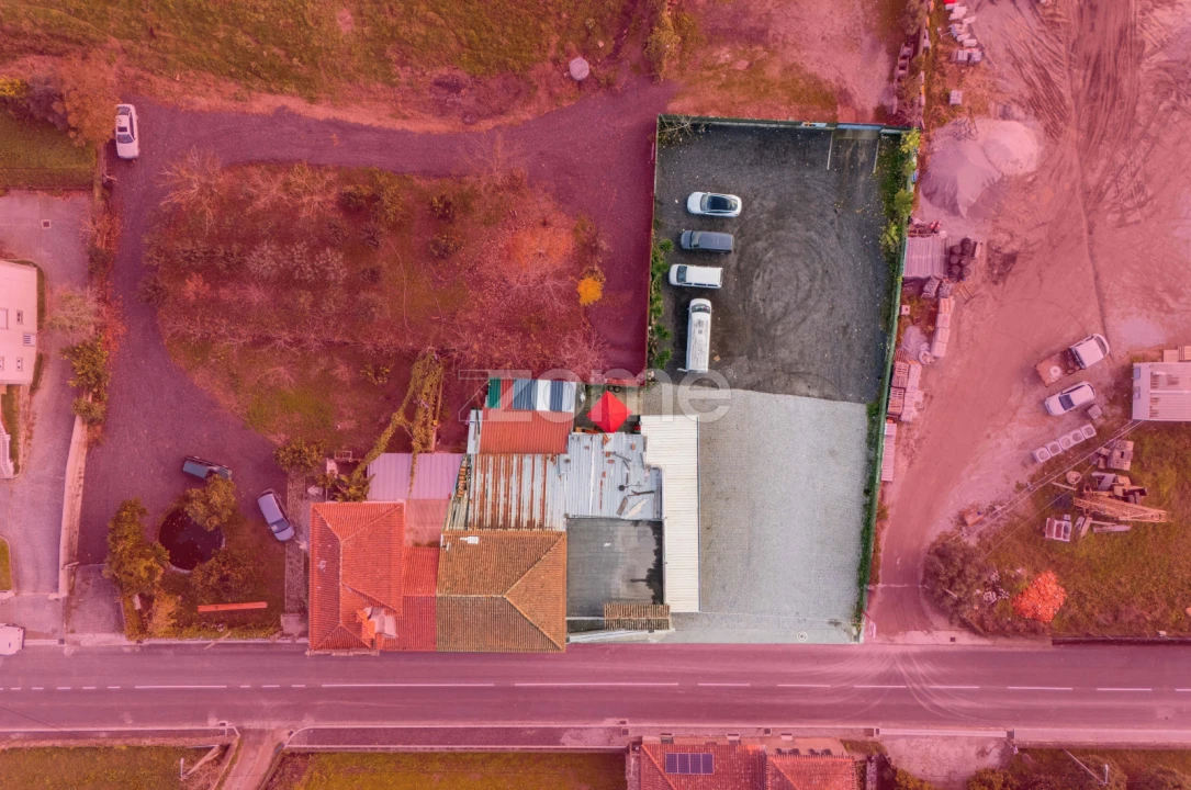 Negócio para Venda em Martim Foto 4