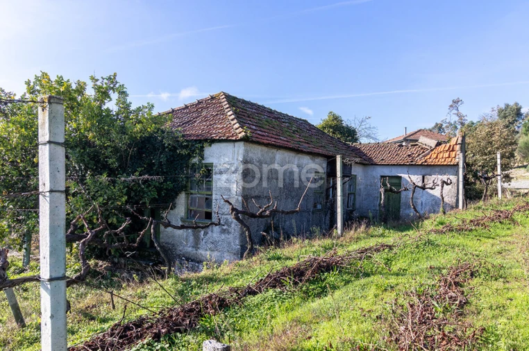Quinta T3 para Venda em Loivos da Ribeira e Tresouras Foto 11