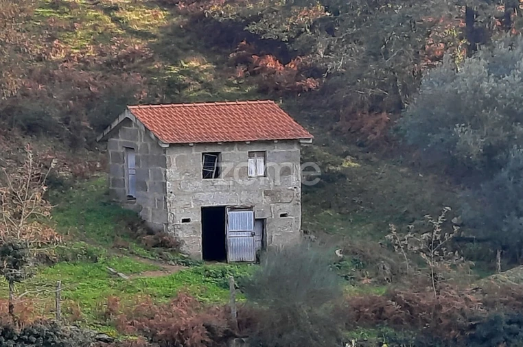 Quinta T3 para Venda em Loivos da Ribeira e Tresouras Foto 13