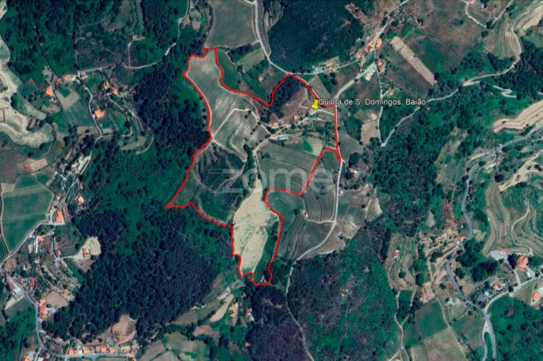 Quinta T3 para Venda em Loivos da Ribeira e Tresouras Foto 24