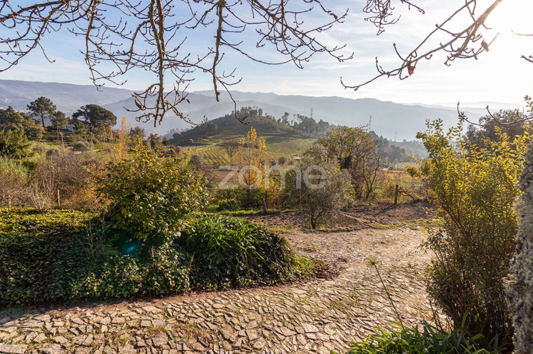 Quinta T3 para Venda em Loivos da Ribeira e Tresouras Foto 23