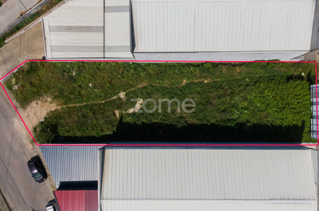 Terreno para Venda em Ferreiros e Gondizalves Foto 3