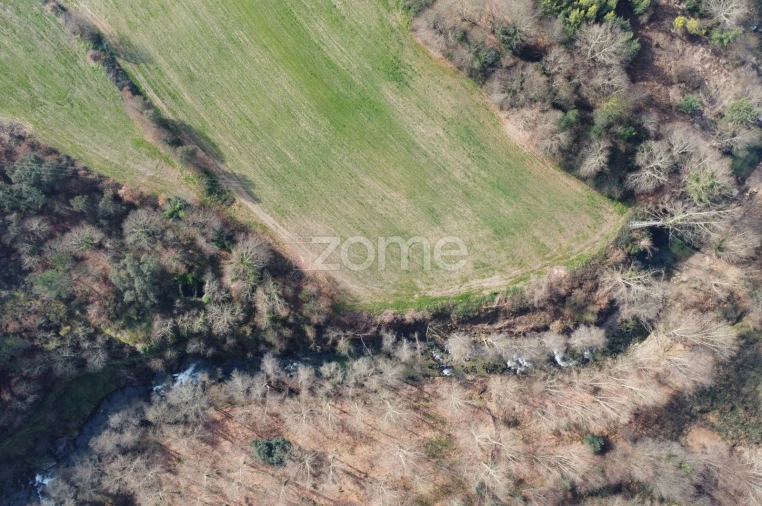Terreno para Venda em Mondim de Basto Foto 4