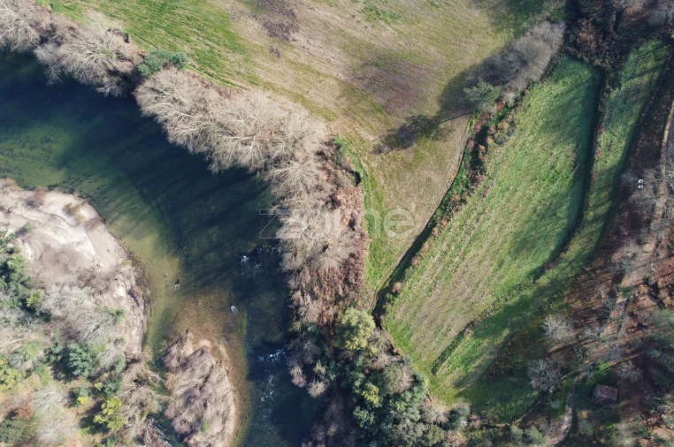 Terreno para Venda em Mondim de Basto Foto 7