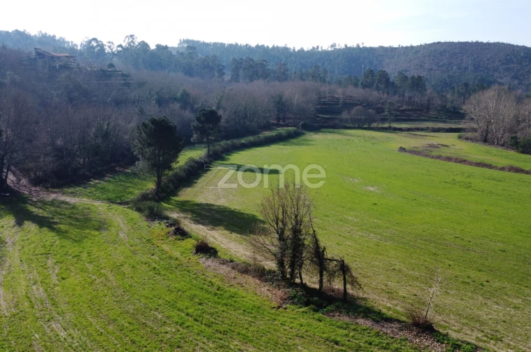 Terreno para Venda em Mondim de Basto Foto 12