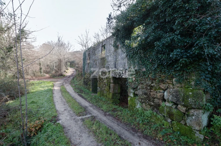 Terreno para Venda em Mondim de Basto Foto 13