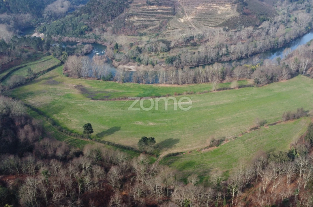 Terreno para Venda em Mondim de Basto Foto 1