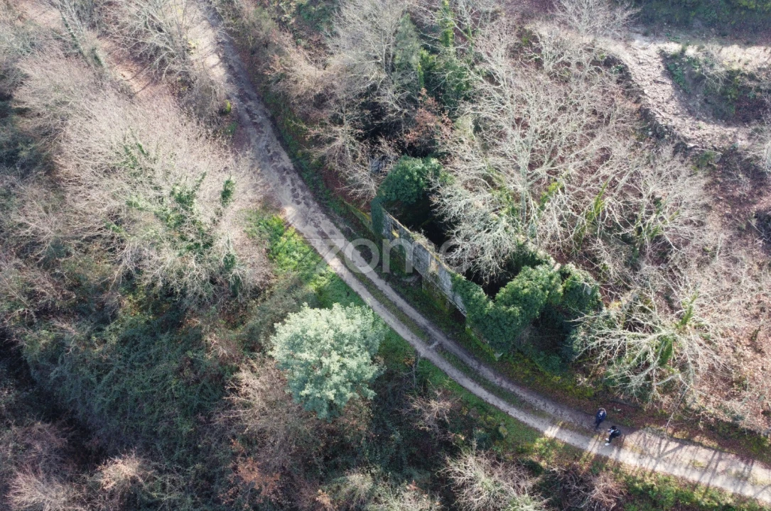 Terreno para Venda em Mondim de Basto Foto 9