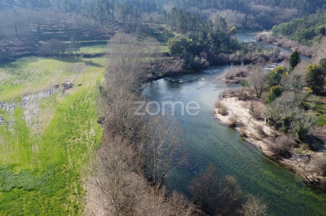 Terreno para Venda em Mondim de Basto Foto 10