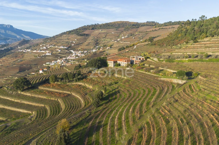 Quinta T13 para Venda em Oliveira Foto 5