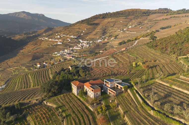 Quinta T13 para Venda em Oliveira Foto 9