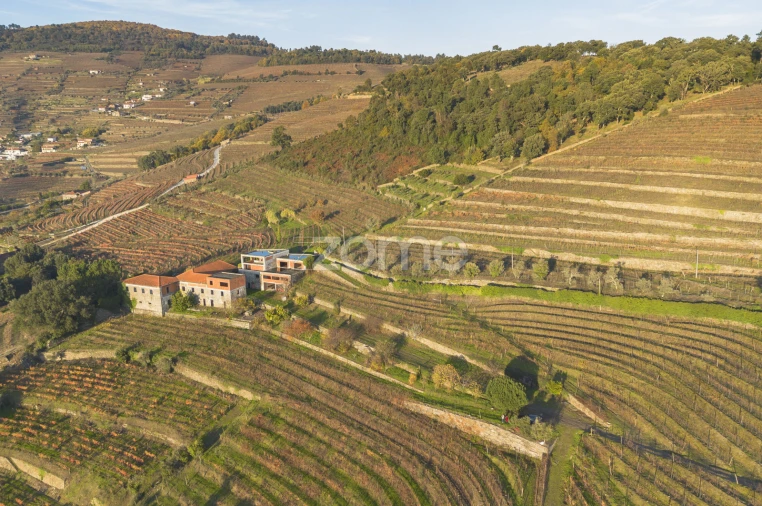 Quinta T13 para Venda em Oliveira Foto 12