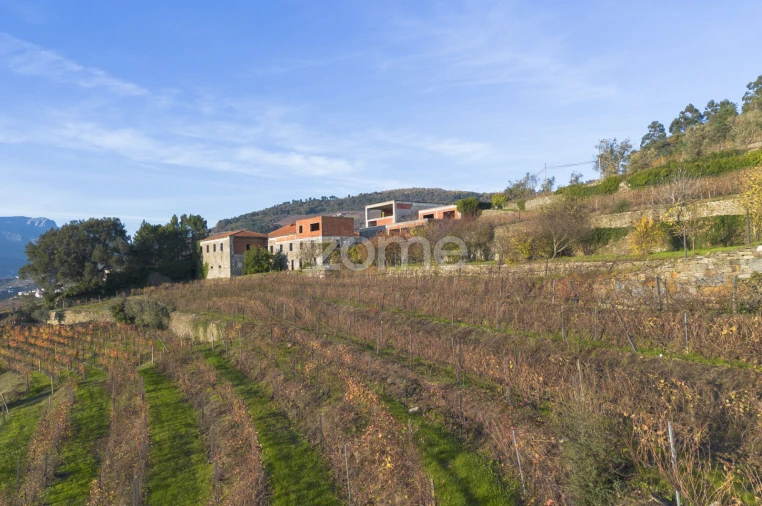 Quinta T13 para Venda em Oliveira Foto 14