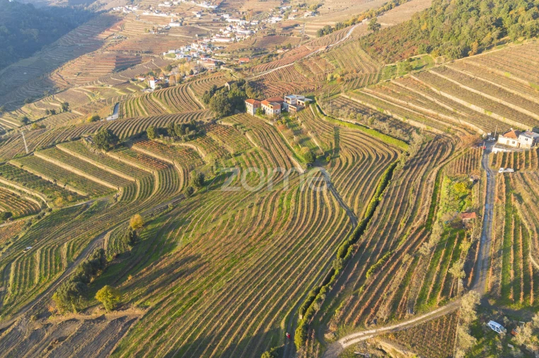 Quinta T13 para Venda em Oliveira Foto 16