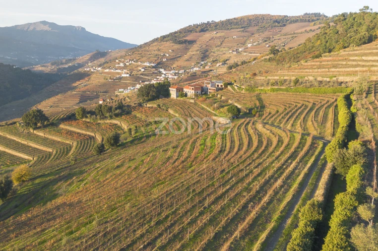 Quinta T13 para Venda em Oliveira Foto 17