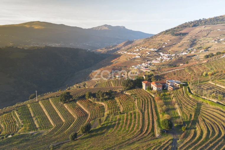 Quinta T13 para Venda em Oliveira Foto 18