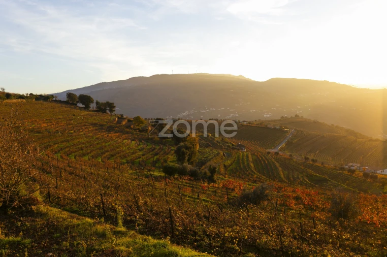 Quinta T13 para Venda em Oliveira Foto 29