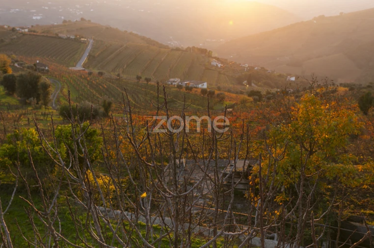 Quinta T13 para Venda em Oliveira Foto 34