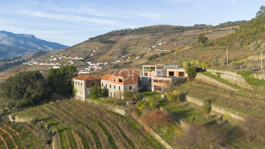 Quinta T13 para Venda em Oliveira
