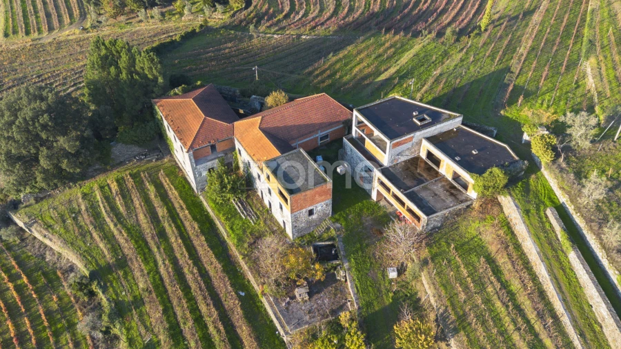 Quinta T13 para Venda em Oliveira