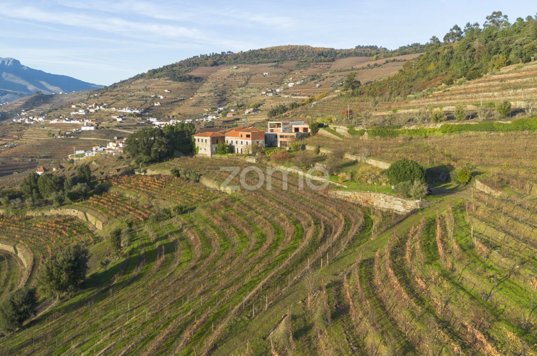 Quinta T13 para Venda em Oliveira Foto 4