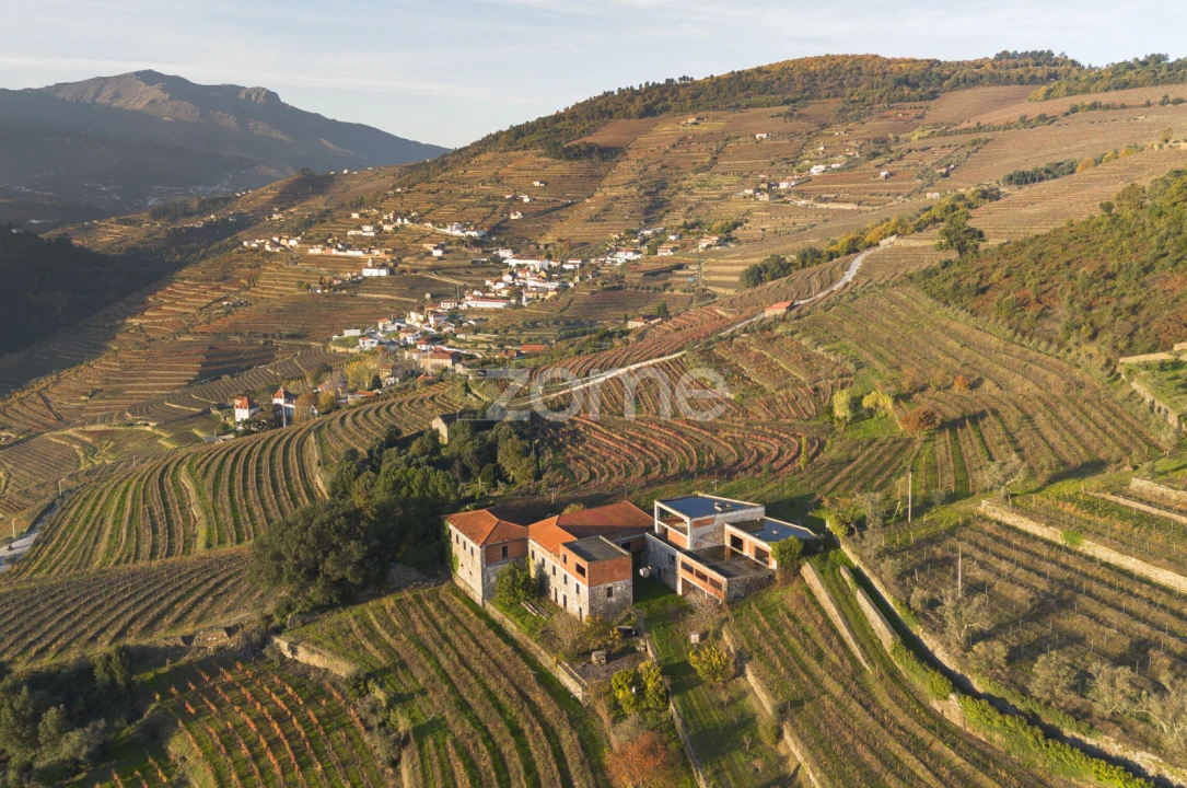 Quinta T13 para Venda em Oliveira Foto 9