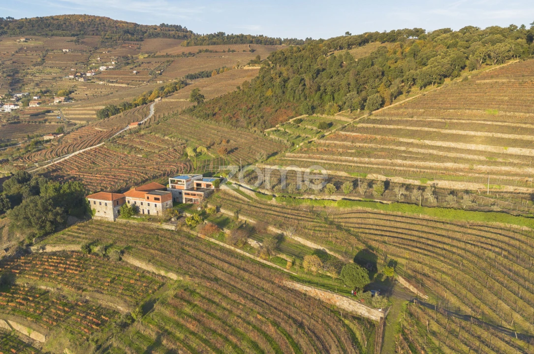 Quinta T13 para Venda em Oliveira Foto 12