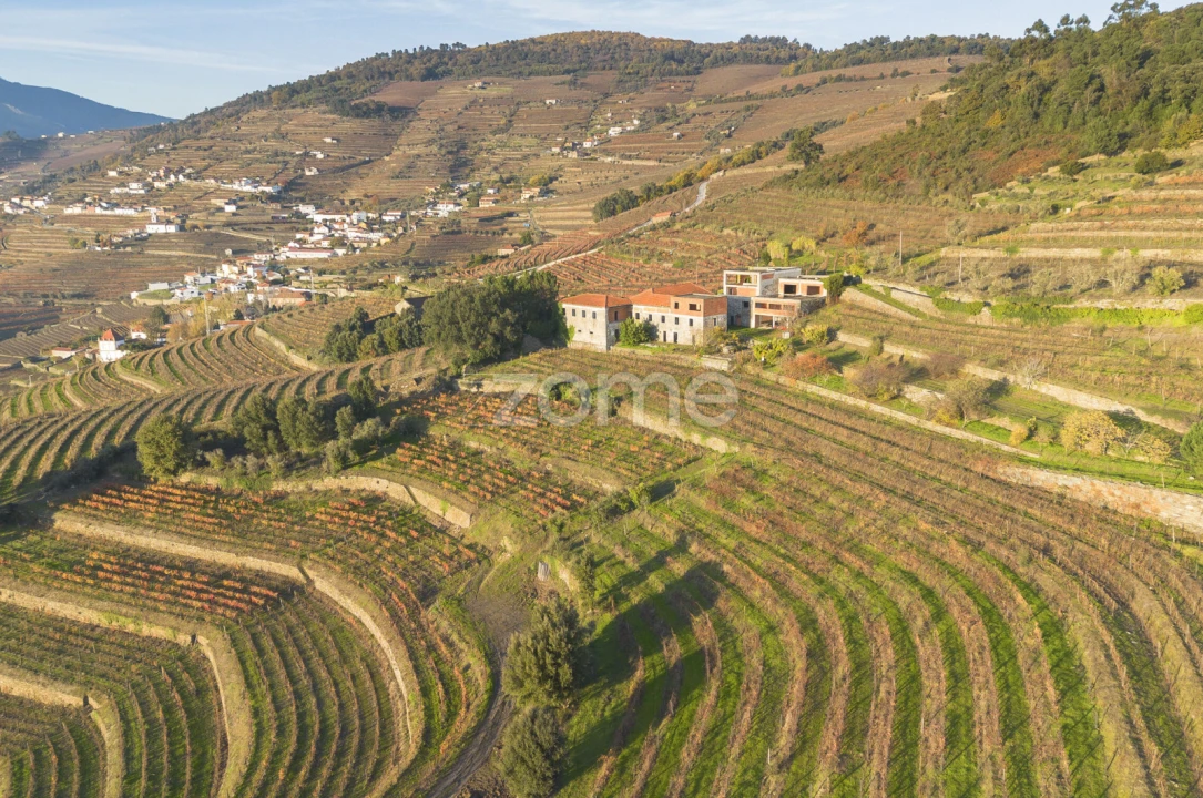 Quinta T13 para Venda em Oliveira Foto 13