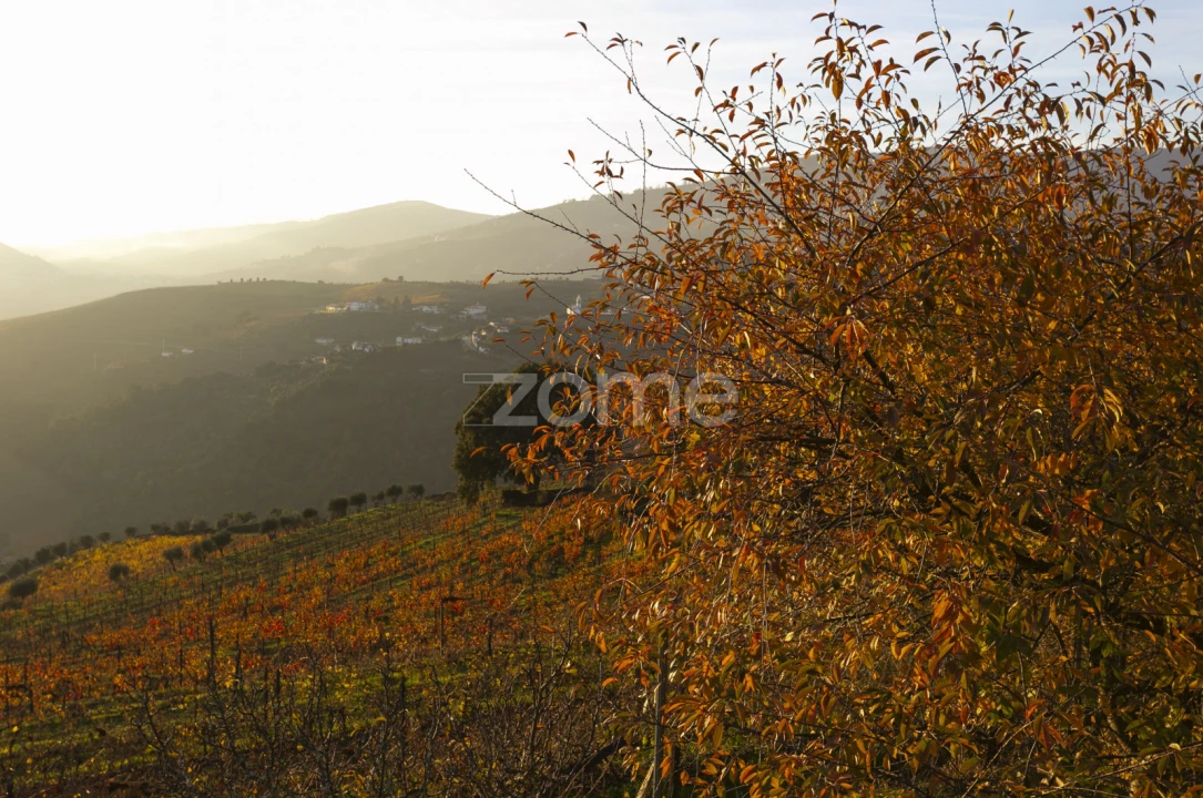 Quinta T13 para Venda em Oliveira Foto 21