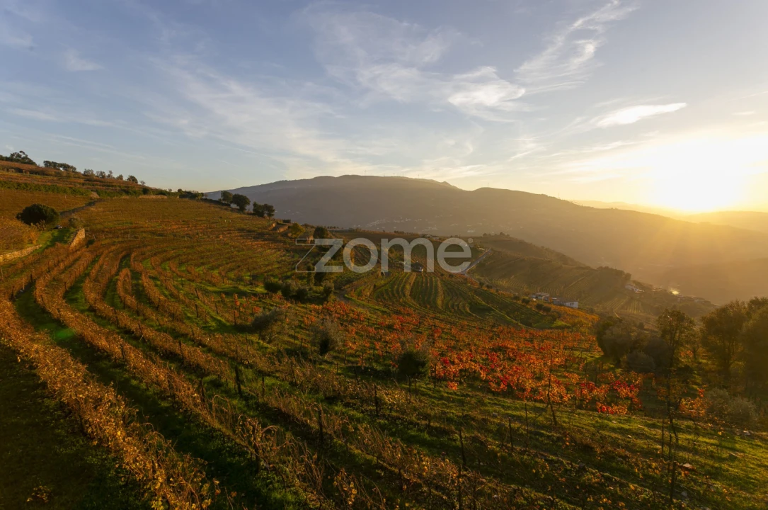 Quinta T13 para Venda em Oliveira Foto 25