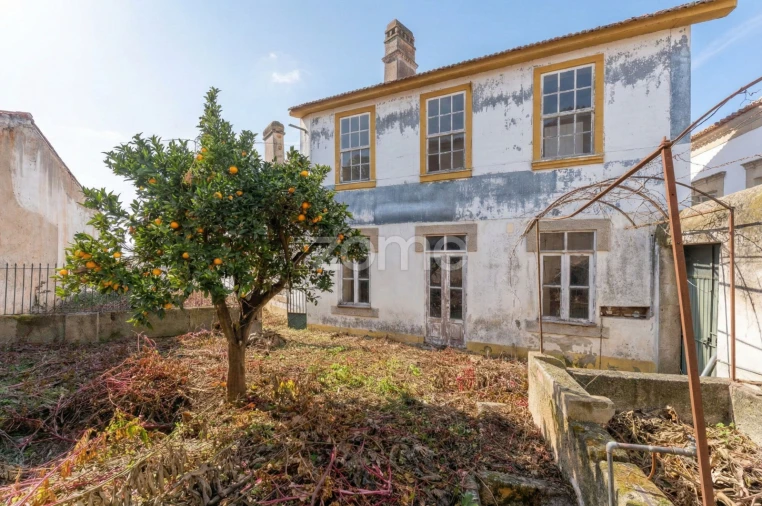 Prédio para Venda em Torre de Moncorvo Foto 38
