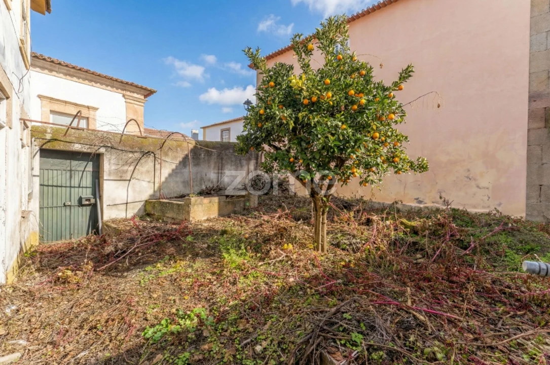 Prédio para Venda em Torre de Moncorvo Foto 36