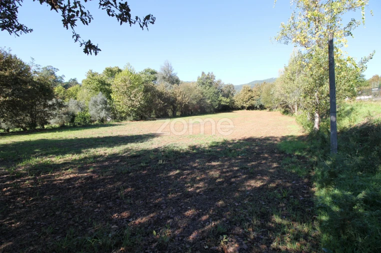 Terreno para Venda em Goães Foto 13