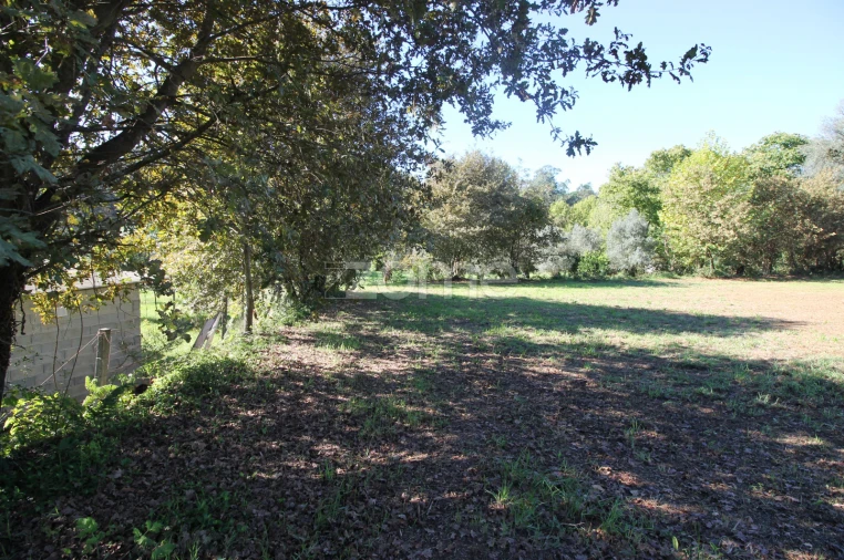 Terreno para Venda em Goães Foto 14