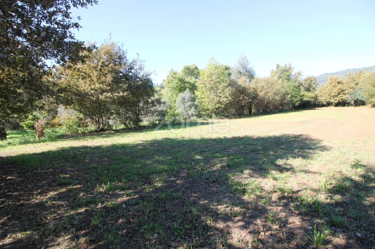 Terreno para Venda em Goães Foto 11