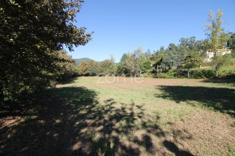 Terreno para Venda em Goães Foto 16