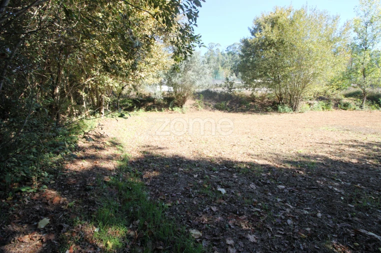 Terreno para Venda em Goães Foto 12