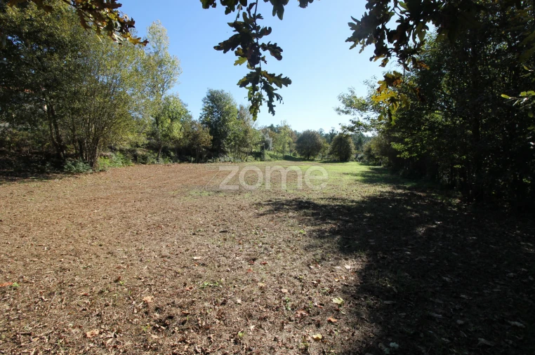 Terreno para Venda em Goães Foto 19