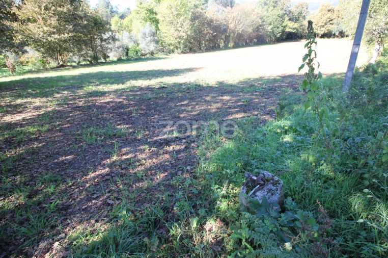 Terreno para Venda em Goães Foto 4