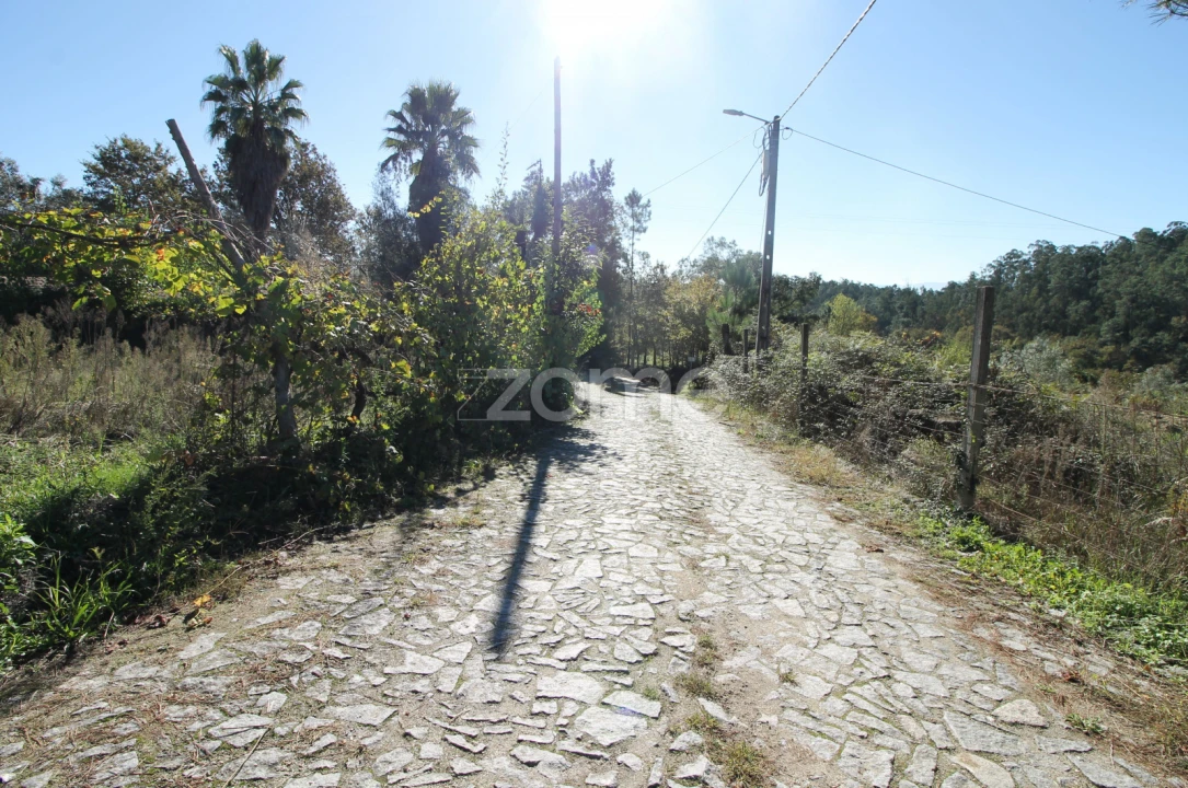 Terreno para Venda em Goães Foto 3
